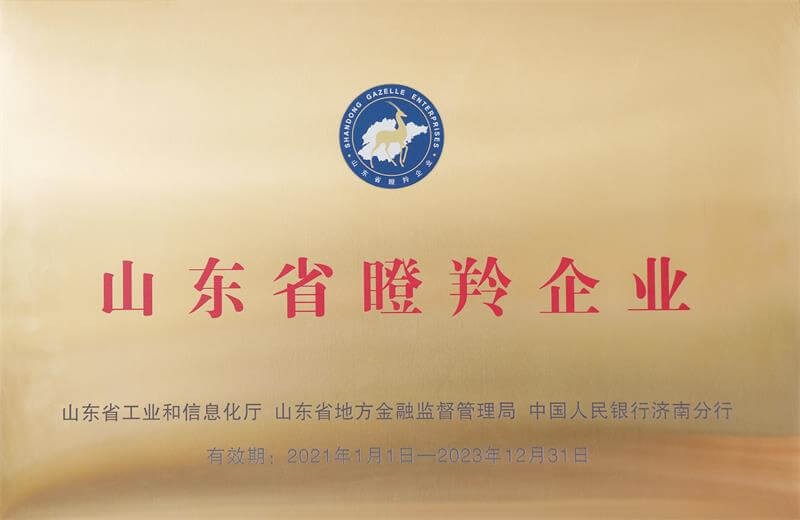 山东省瞪羚企业